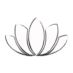 Illustration einer Lotusblüte